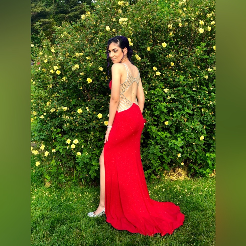 Prom Dress - Picture 4 of 4